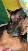 ohheypal Altpins Profile Picture