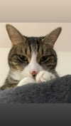 olivialiiias Altpins Profile Picture