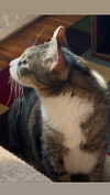 olivialiiias Altpins Profile Picture