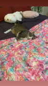 olivialiiias Altpins Profile Picture