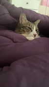 olivialiiias Altpins Profile Picture