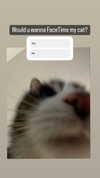 olivialiiias Altpins Profile Picture