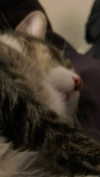 olivialiiias Altpins Profile Picture