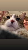 olivialiiias Altpins Profile Picture
