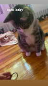olivialiiias Altpins Profile Picture