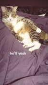 olivialiiias Altpins Profile Picture