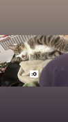 olivialiiias Altpins Profile Picture