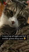 olivialiiias Altpins Profile Picture