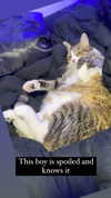 olivialiiias Altpins Profile Picture