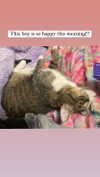 olivialiiias Altpins Profile Picture