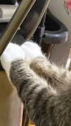 olivialiiias Altpins Profile Picture