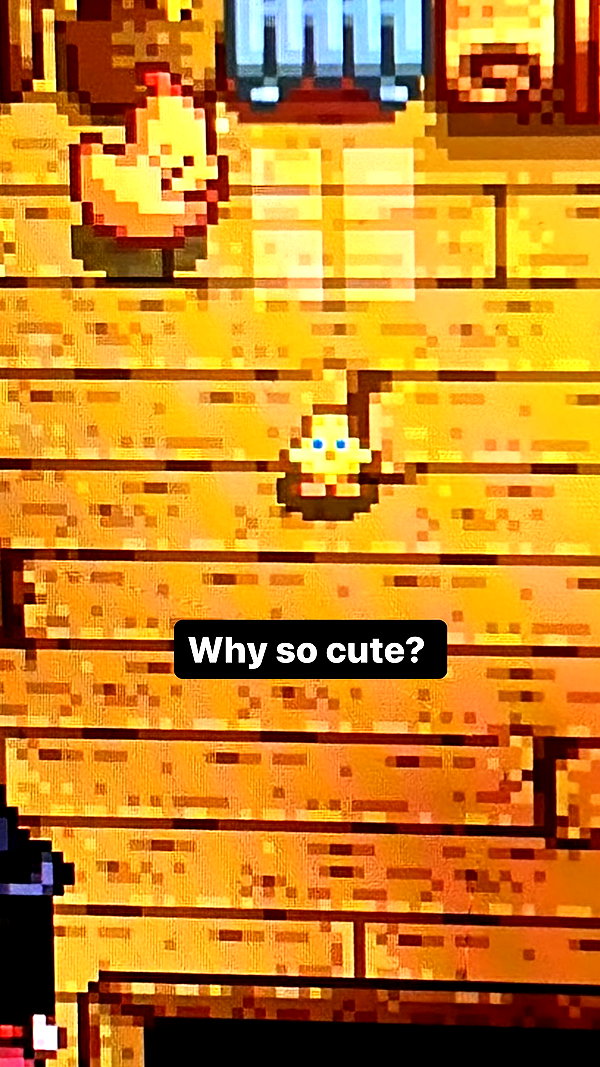 olivialiiias instagram image archive image