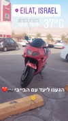 omer._shalom Altpins Profile Picture