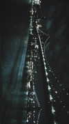 omer._shalom Altpins Profile Picture