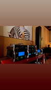 omer._shalom Altpins Profile Picture