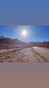omer._shalom Altpins Profile Picture