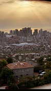 omer._shalom Altpins Profile Picture