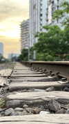 omer._shalom Altpins Profile Picture