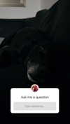 onlmeow Altpins Profile Picture