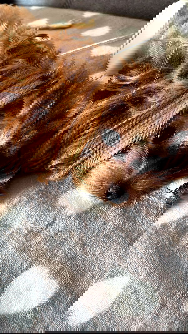 onlykrisssty onlykrisssty archive image