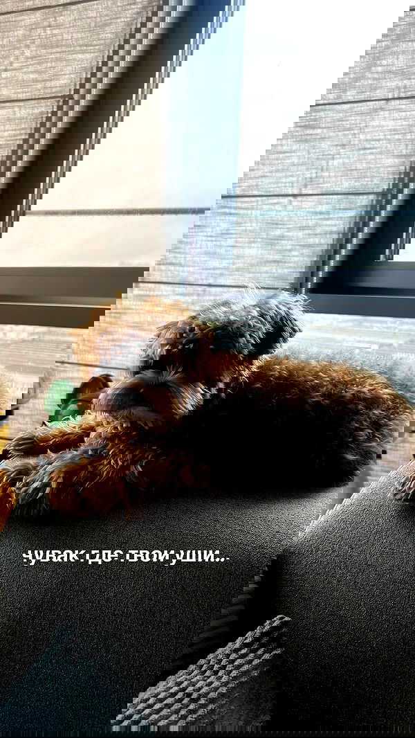 onlykrisssty onlykrisssty archive image