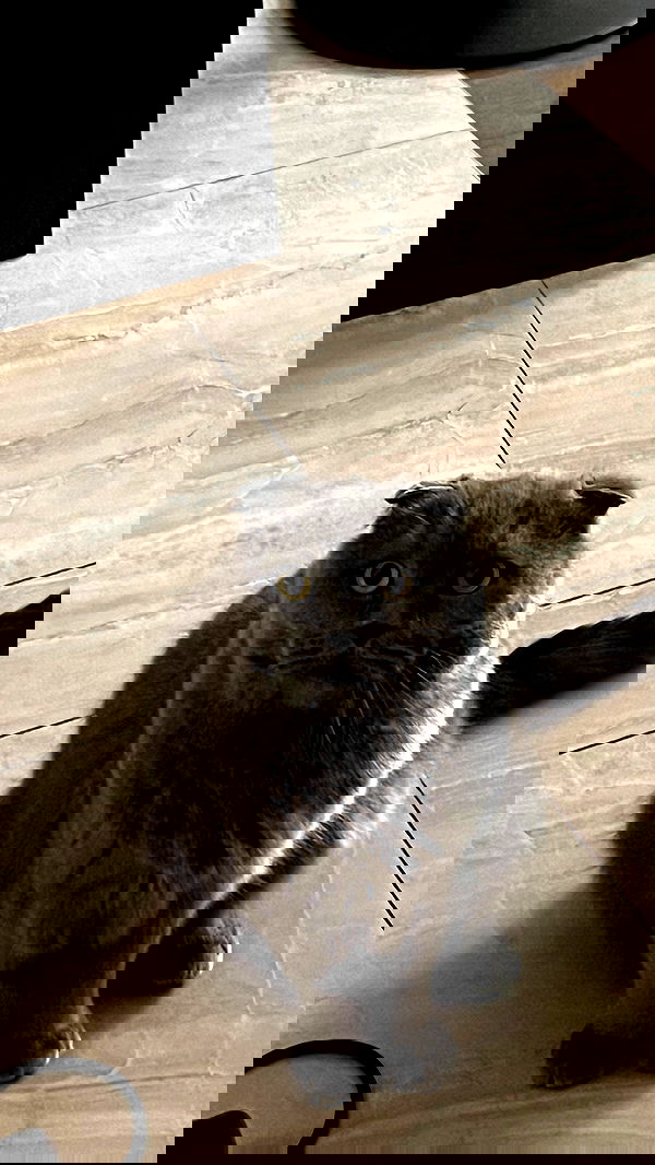 onlykrisssty onlykrisssty archive image