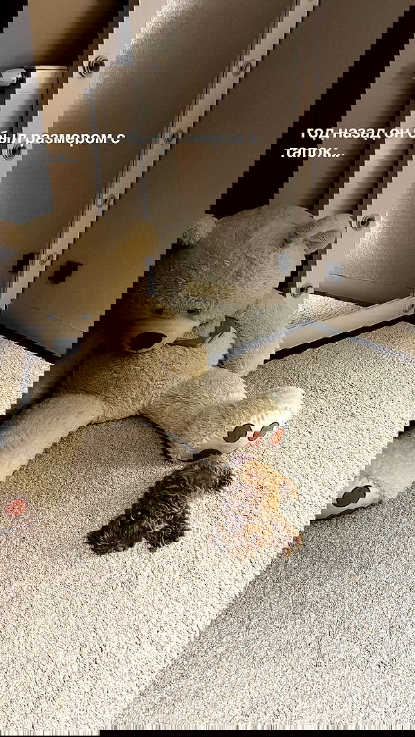 onlykrisssty onlykrisssty archive image