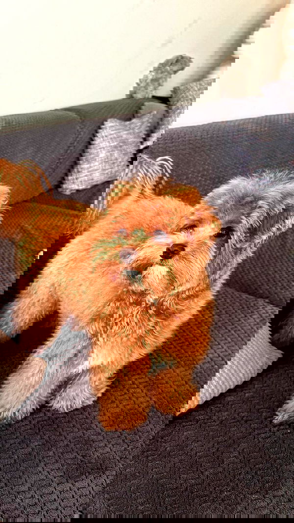 onlykrisssty onlykrisssty archive image