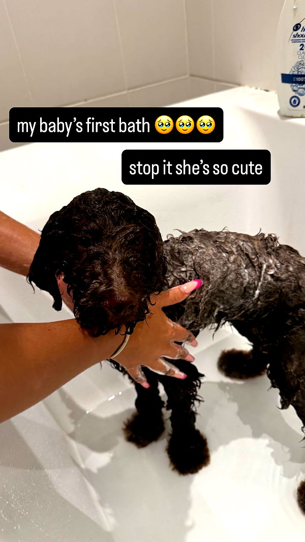 oonaghkittieee instagram image archive image