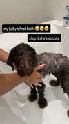 oonaghkittieee Altpins Profile Picture