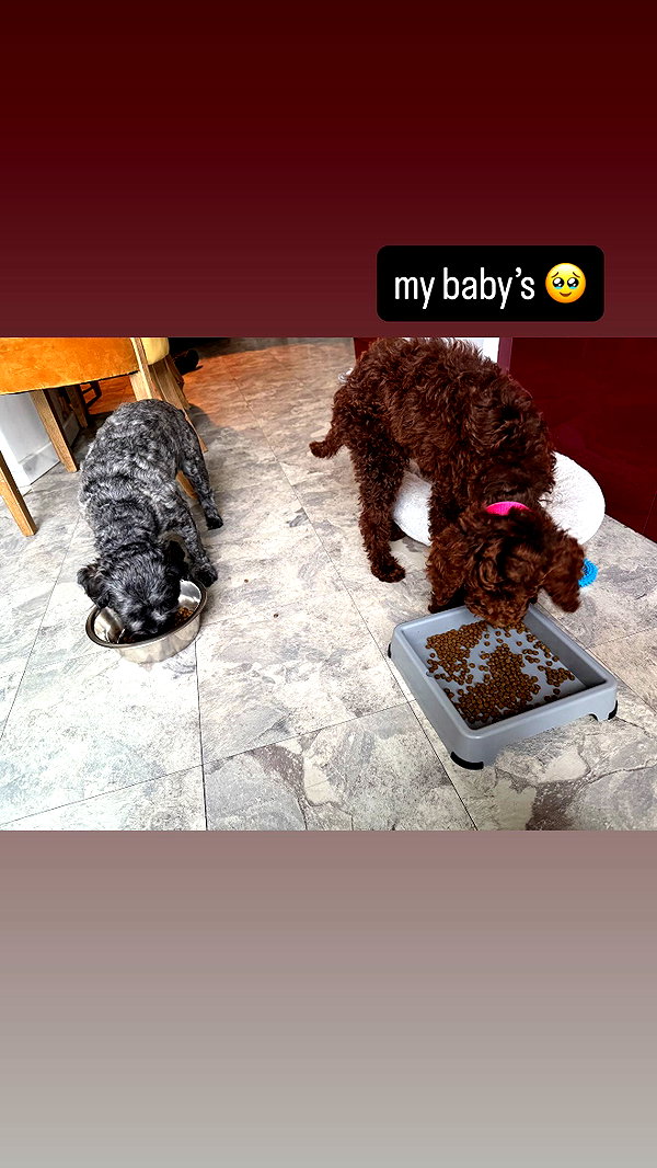 oonaghkittieee instagram image archive image