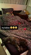 oonaghkittieee Altpins Profile Picture