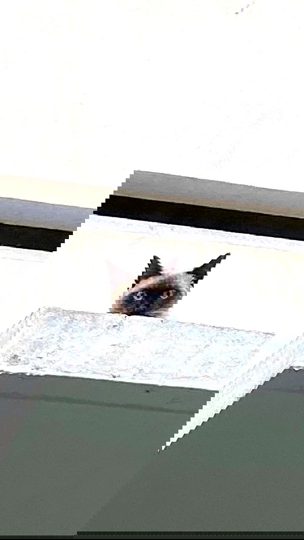 oqr0_ oqr0_ archive image