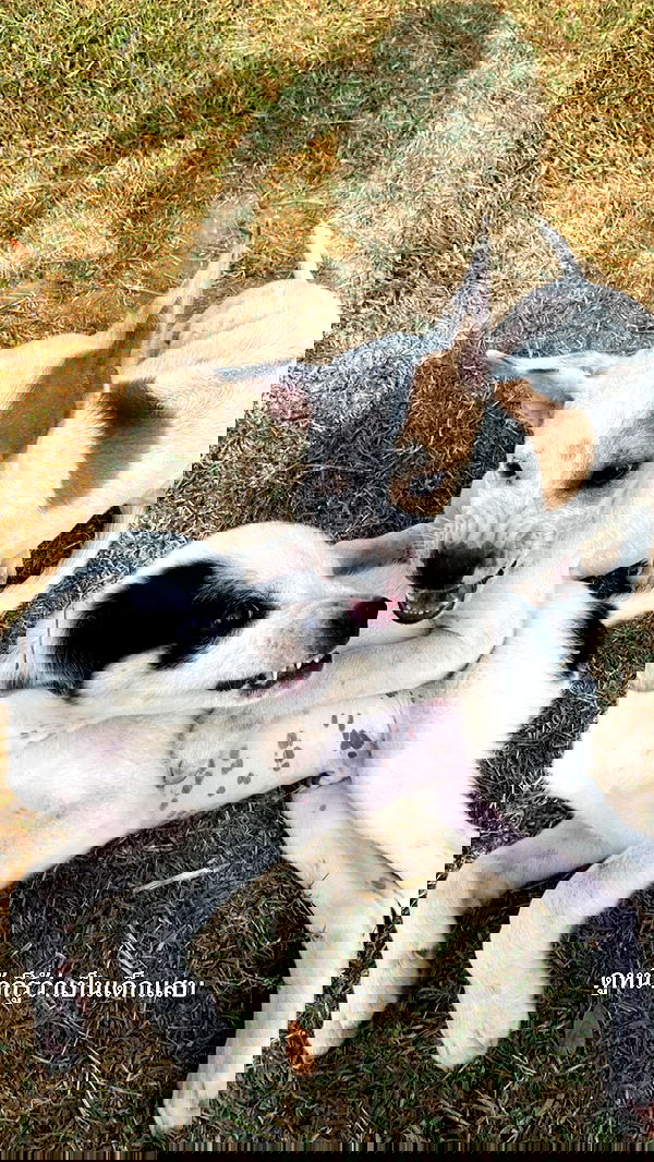 oqr0_ oqr0_ archive image