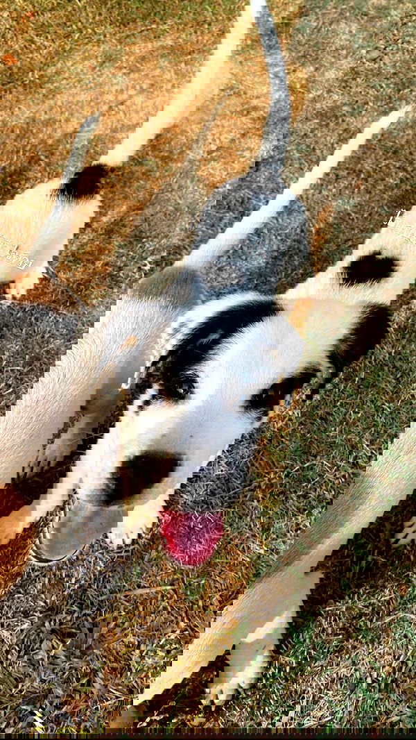 oqr0_ oqr0_ archive image