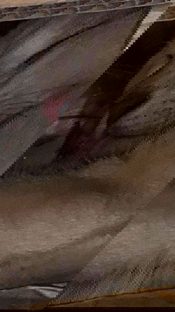 oqr0_ oqr0_ archive image