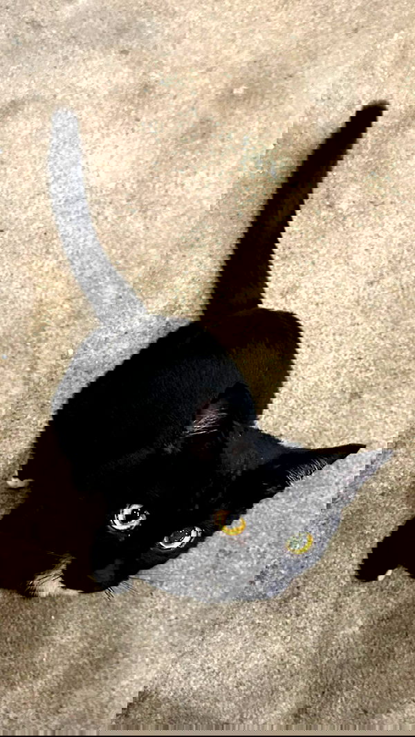 oqr0_ oqr0_ archive image