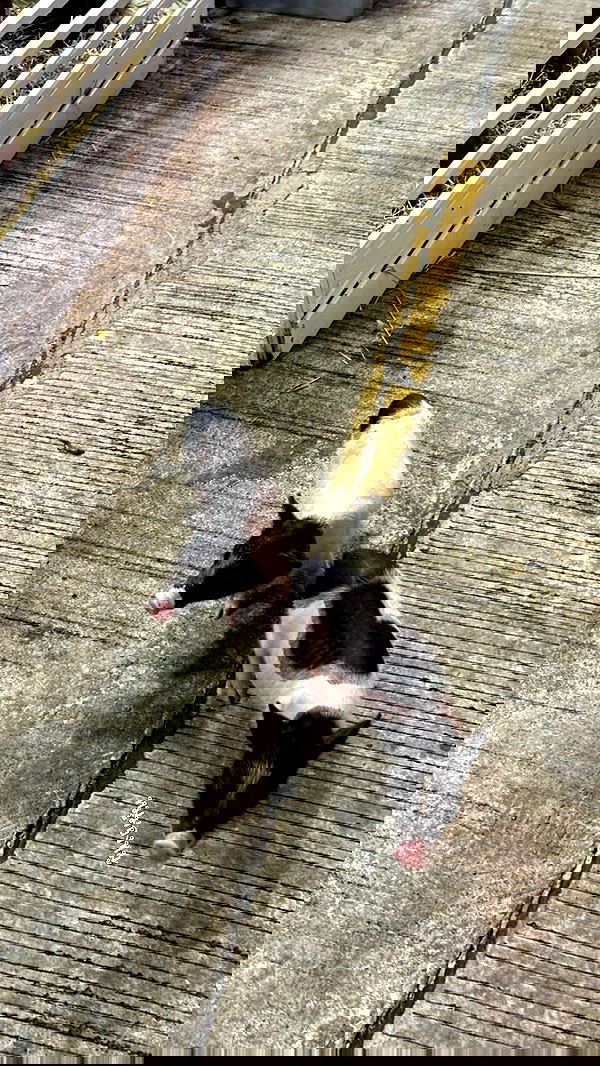 oqr0_ oqr0_ archive image