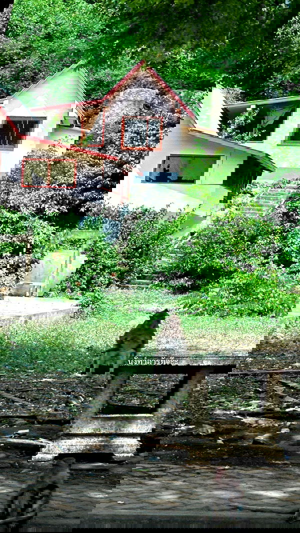 oqr0_ oqr0_ archive image