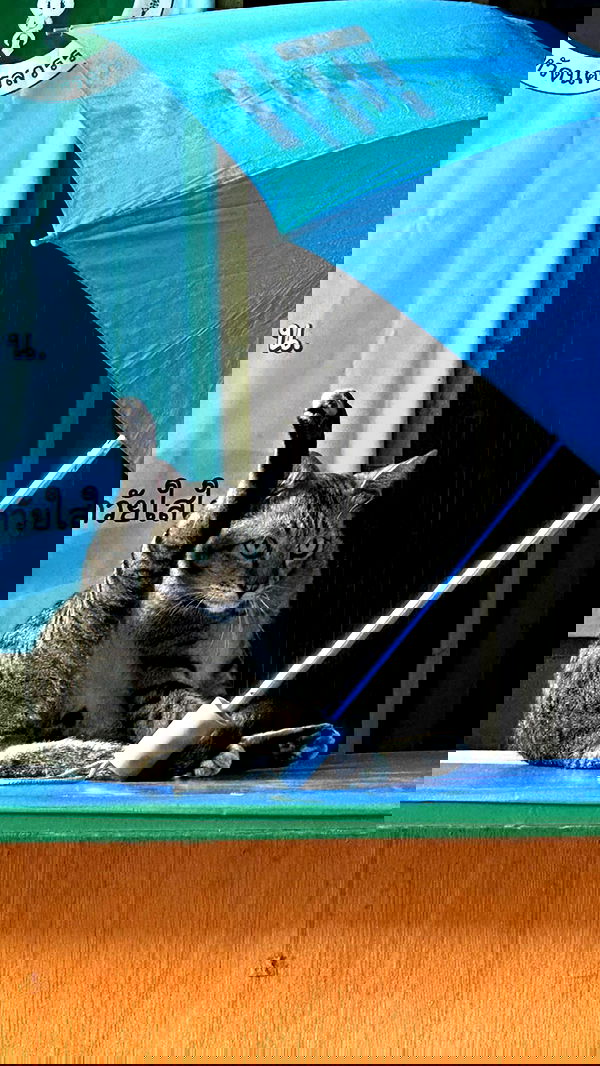 oqr0_ oqr0_ archive image