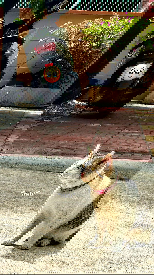 oqr0_ oqr0_ archive image