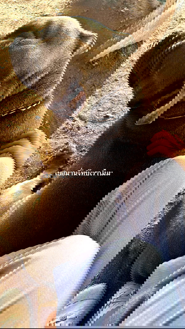 oqr0_ oqr0_ archive image