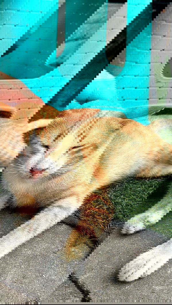 oqr0_ oqr0_ archive image