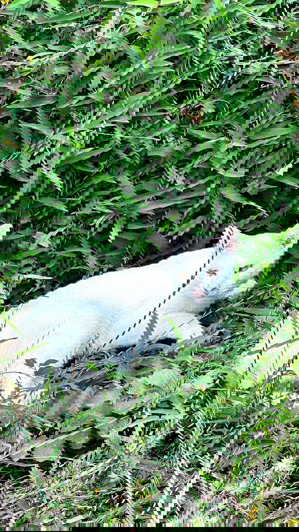 oqr0_ oqr0_ archive image