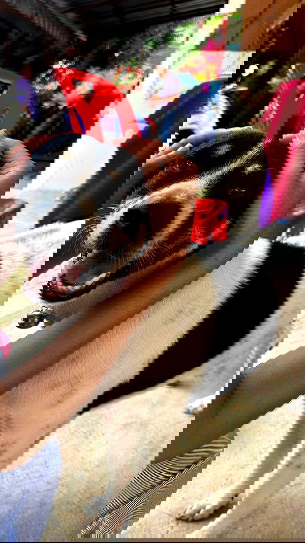 oqr0_ oqr0_ archive image