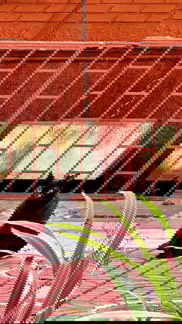 oqr0_ oqr0_ archive image