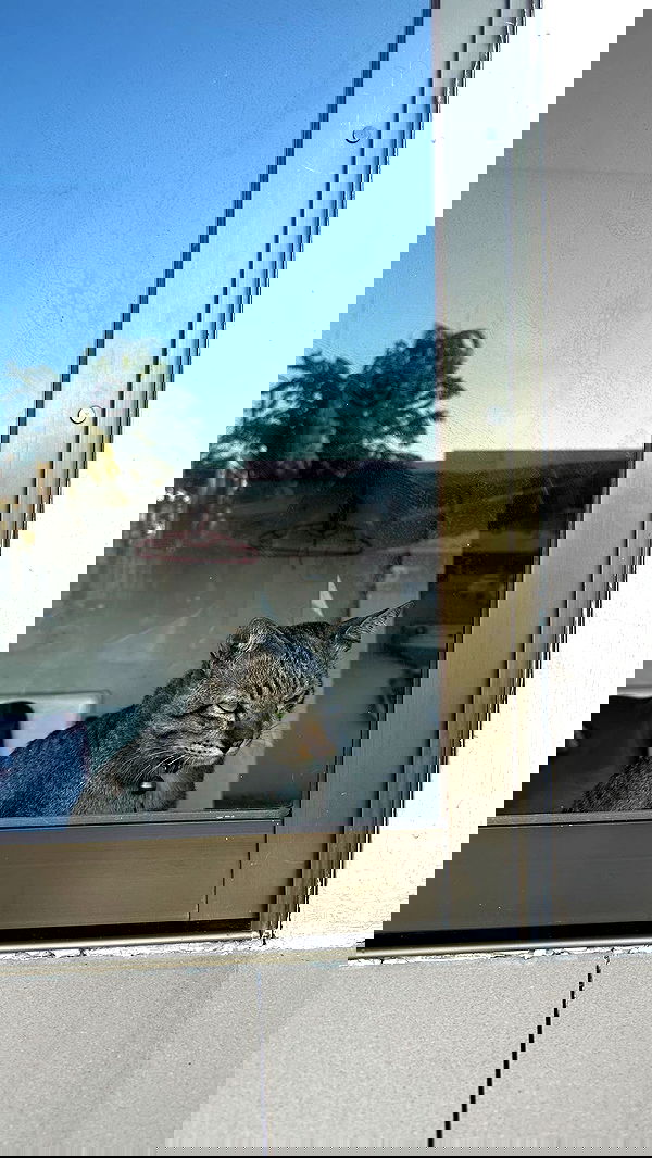 oqr0_ oqr0_ archive image