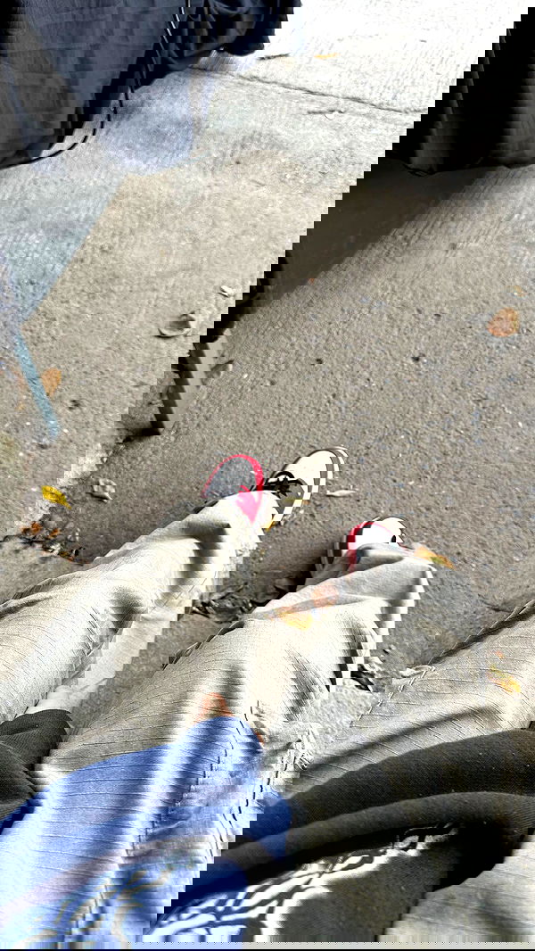 oqr0_ oqr0_ archive image