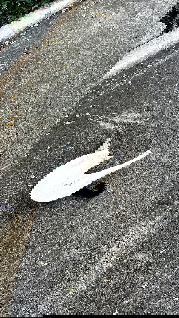 oqr0_ oqr0_ archive image