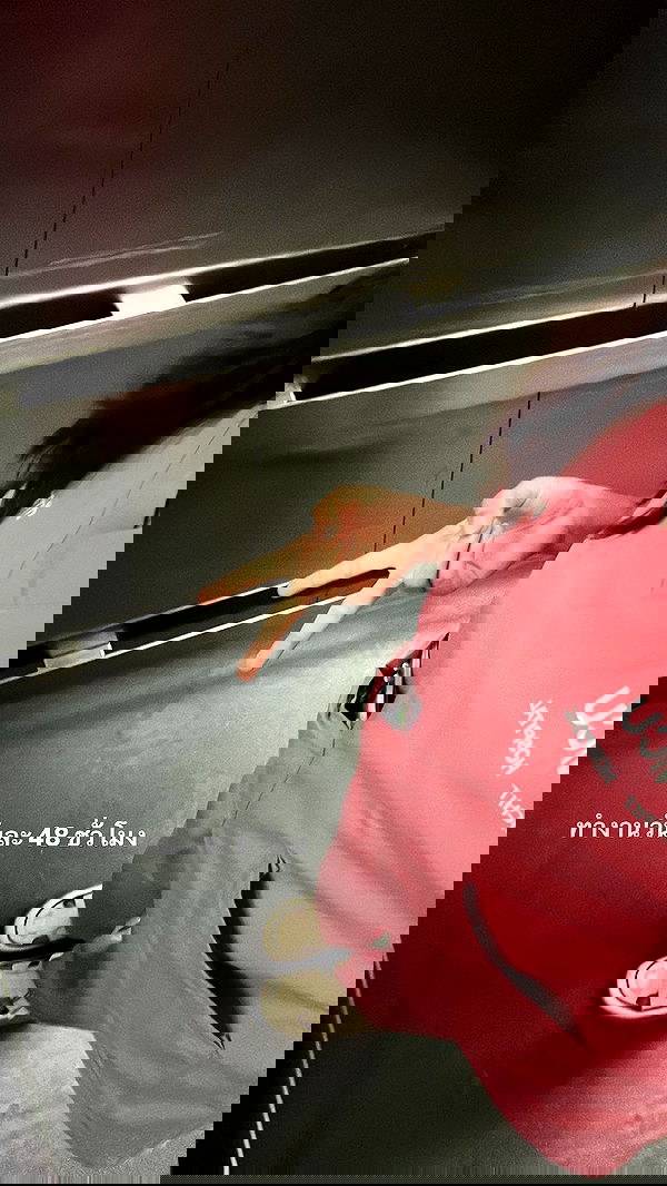 oqr0_ oqr0_ archive image